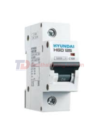 MCB HYUNDAI 1P 100A 10kA ( HGD125 )