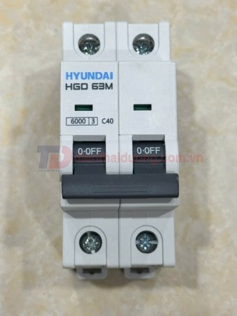 MCB HYUNDAI 2P 40A 6kA ( HGD63M )