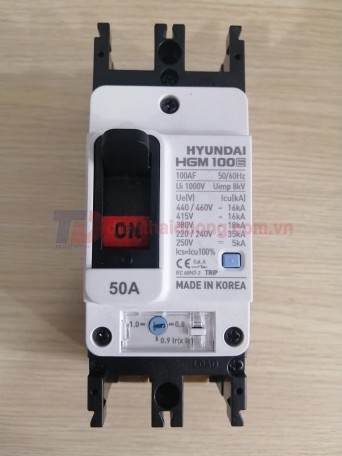 MCCB HYUNDAI 2P 50A 35kA ( HGM100E-F )