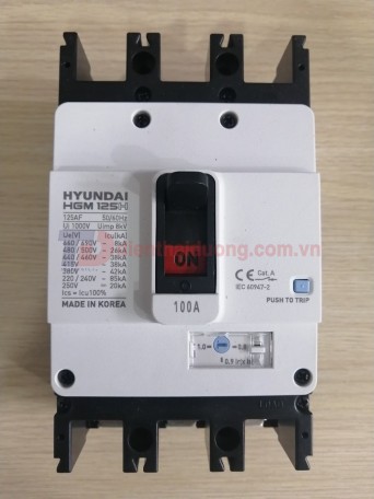 MCCB HYUNDAI 3P 100A 38kA ( HGM125H-F )