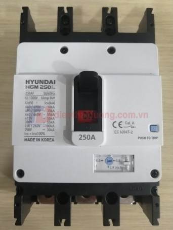 MCCB HYUNDAI 3P 250A 55kA ( HGM250L-F )