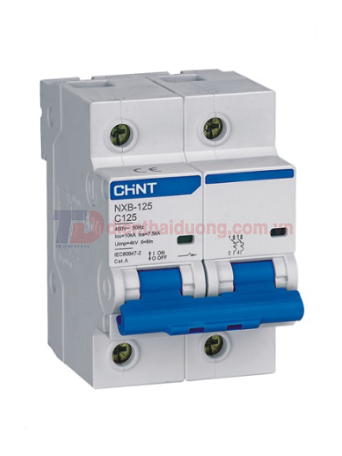 MCB CHINT 2P 125A 10kA ( NXB-125 )
