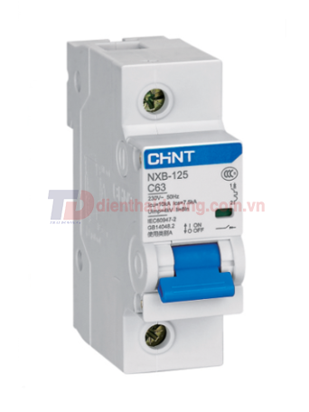MCB CHINT 1P 80A 10kA ( NXB-125 )
