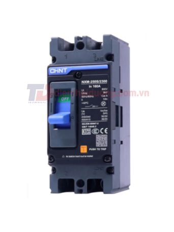 MCCB CHINT 2P 25A 25kA ( NXM-125S/2300 )