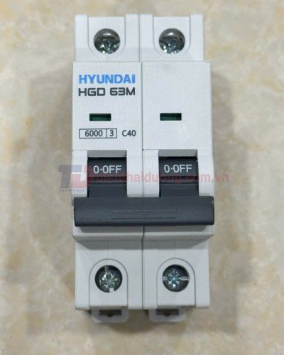 MCB HYUNDAI 2P 40A 6kA ( HGD63M )
