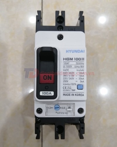 MCCB HYUNDAI 2P 100A 35kA ( HGM100E-F )