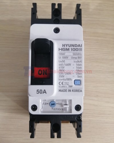 MCCB HYUNDAI 2P 50A 35kA ( HGM100E-F )