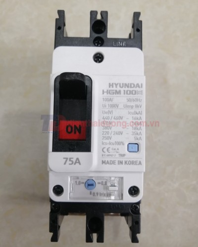 MCCB HYUNDAI 2P 75A 35kA ( HGM100E-F )