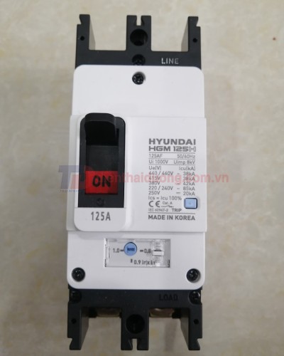 MCCB HYUNDAI 2P 125A 85kA ( HGM125H-F )