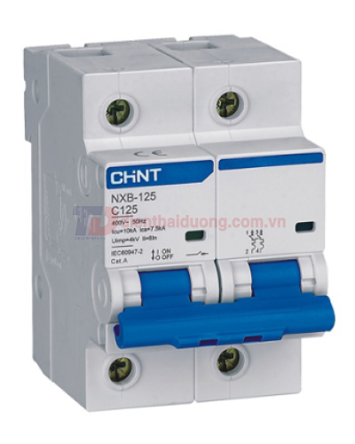 MCB CHINT 2P 100A 10kA ( NXB-125 )