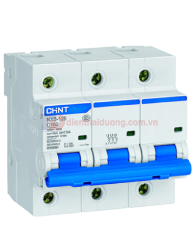 MCB CHINT 3P 100A 10kA ( NXB-125 )