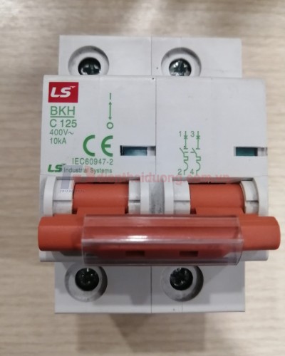 MCB LS 2P 125A 10kA ( BKH )