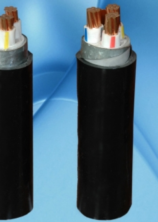 Cáp Điện Hạ Thế Có Giáp Băng Nhôm Bảo Vệ CVV/DATA _ Cadivi