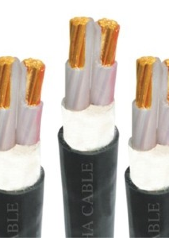 Cáp Điện Hạ Thế CXV _ Cadivi