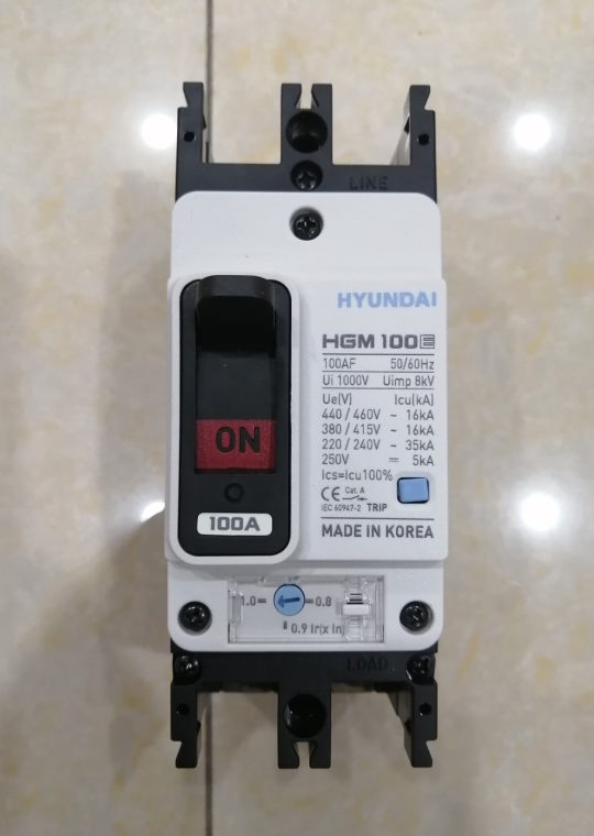 MCCB HYUNDAI 2P 100A 35kA ( HGM100E-F )