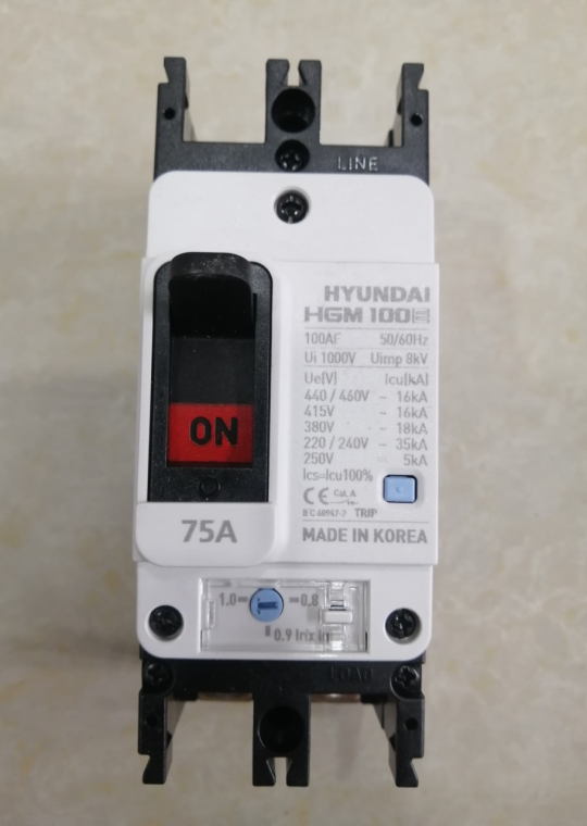 MCCB HYUNDAI 2P 75A 35kA ( HGM100E-F )