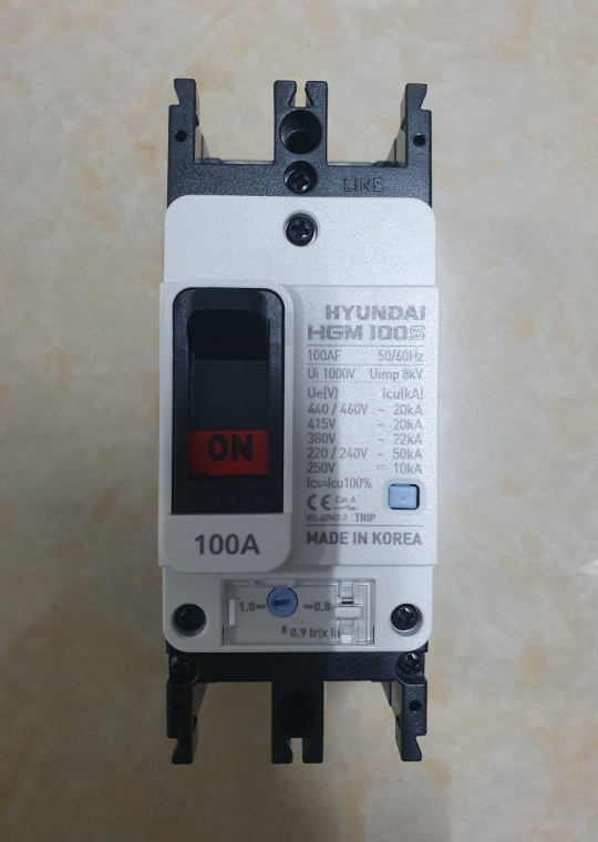 MCCB HYUNDAI 2P 100A 50kA ( HGM100S-F )
