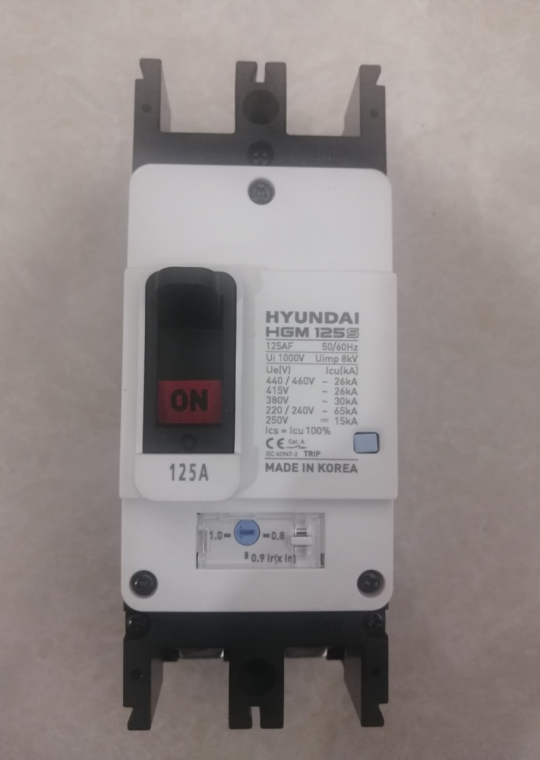 MCCB HYUNDAI 2P 125A 65kA ( HGM125S-F )