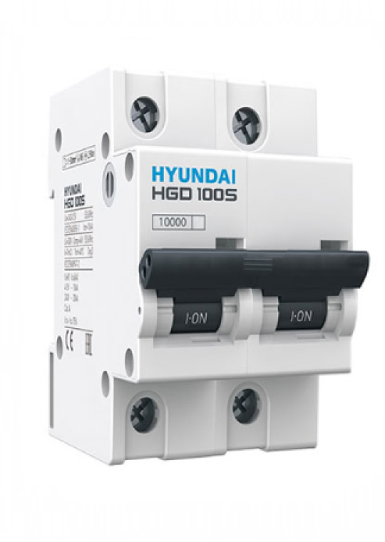 MCB HYUNDAI 2P 100A 10kA ( HGD100S )