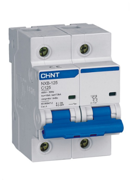 MCB CHINT 2P 100A 10kA ( NXB-125 )