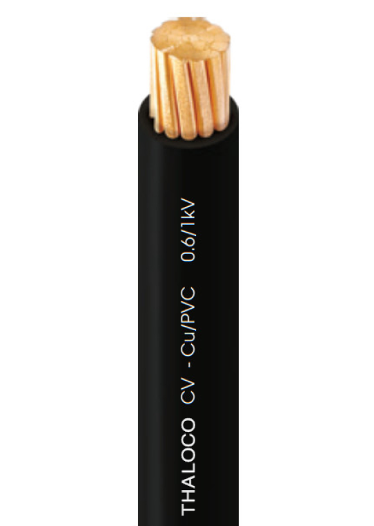 Dây điện THĂNG LONG vỏ PVC CV 300mm2 - 0.6/1kV