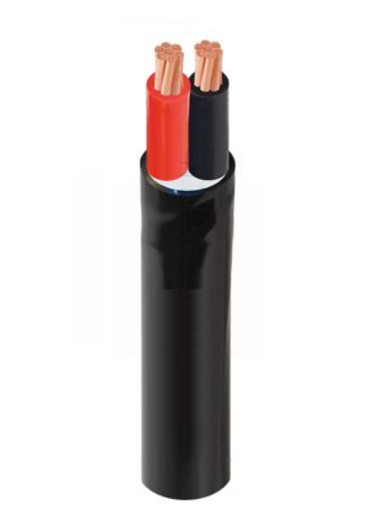 Cáp điện THĂNG LONG CVV 2 x 2.5mm2 - 0.6/1kV