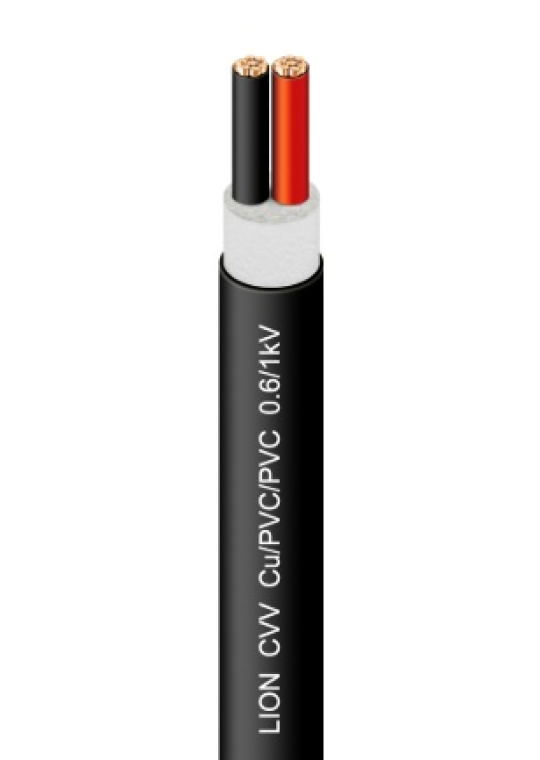 Cáp điện LION CVV 2x10mm2 - 0.6/1kV