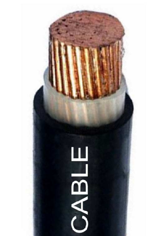 Cáp điện THĂNG LONG cách điện XLPE vỏ PVC CXV 240mm2 - 0.6/1kV