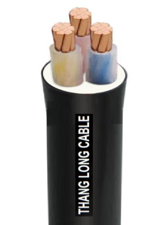 Cáp điện THĂNG LONG CXV 3 x 25mm2 - 0.6/1kV
