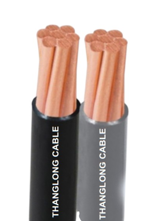 Cáp DUPLEX Thăng Long DuCV 2 x 10mm2 - 0.6/1kV