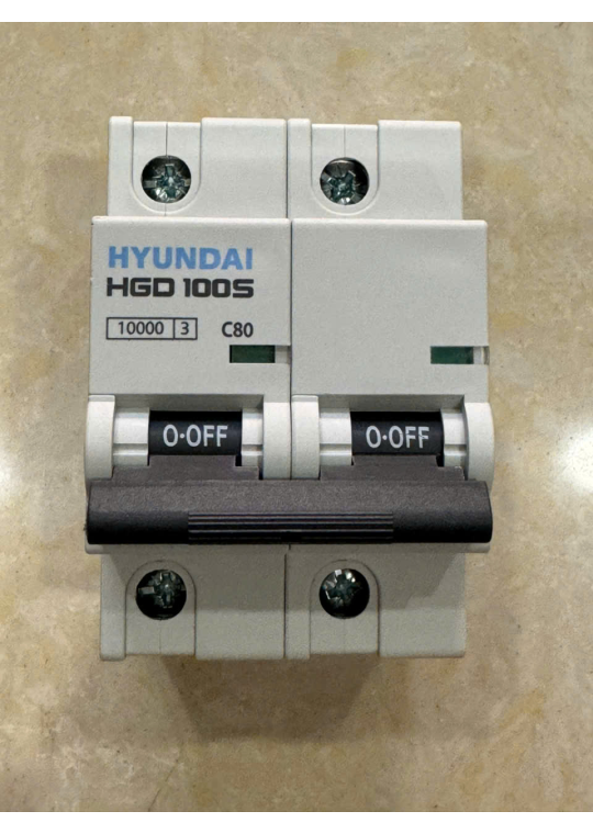 MCB HYUNDAI 2P 80A 10kA ( HGD100S )