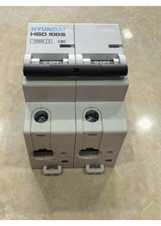 MCB HYUNDAI 2P 80A 10kA ( HGD100S )