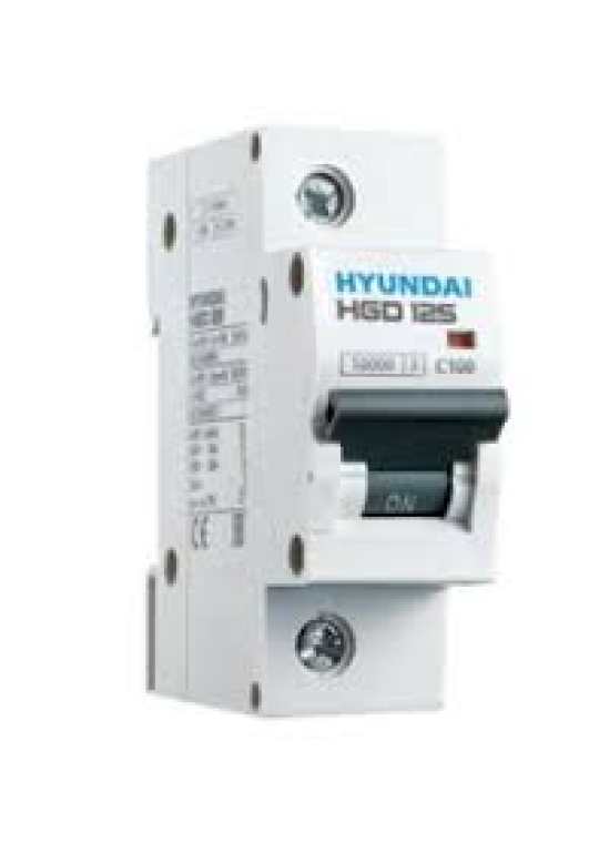 MCB HYUNDAI 1P 125A 10kA ( HGD125 )