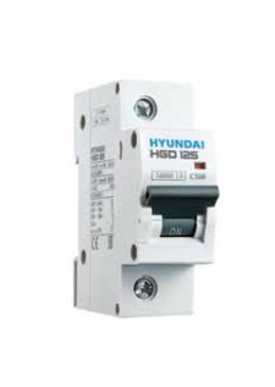 MCB HYUNDAI 1P 100A 10kA ( HGD125 )