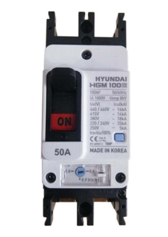 MCCB HYUNDAI 2P 80A 35kA ( HGM100E-F )