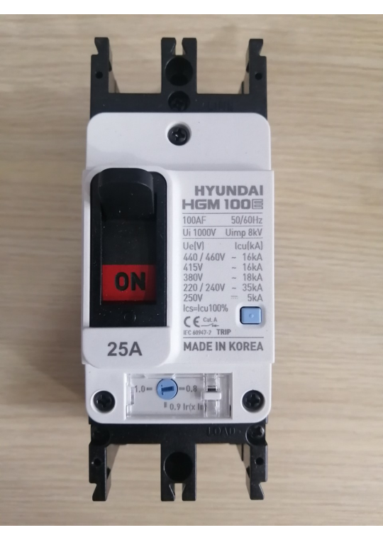 MCCB HYUNDAI 2P 25A 35kA ( HGM100E-F )