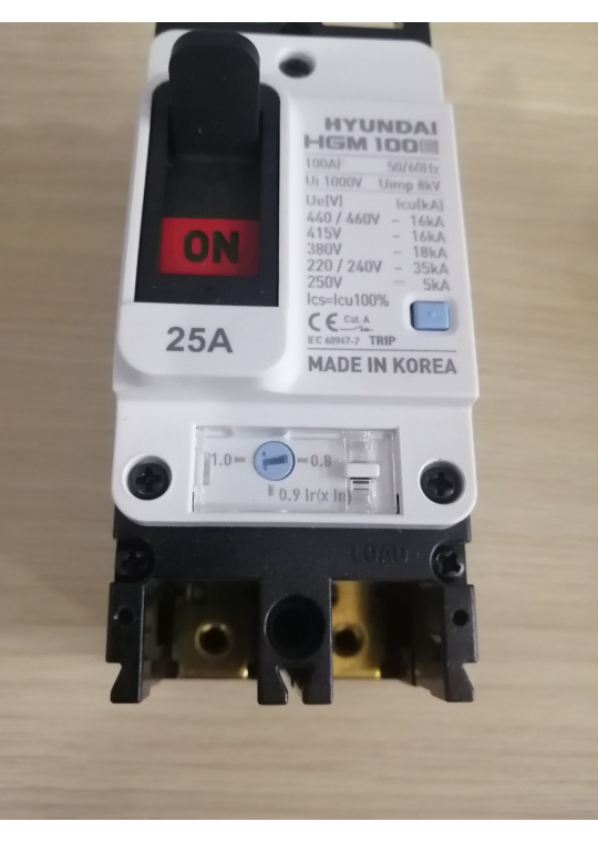 MCCB HYUNDAI 2P 25A 35kA ( HGM100E-F )