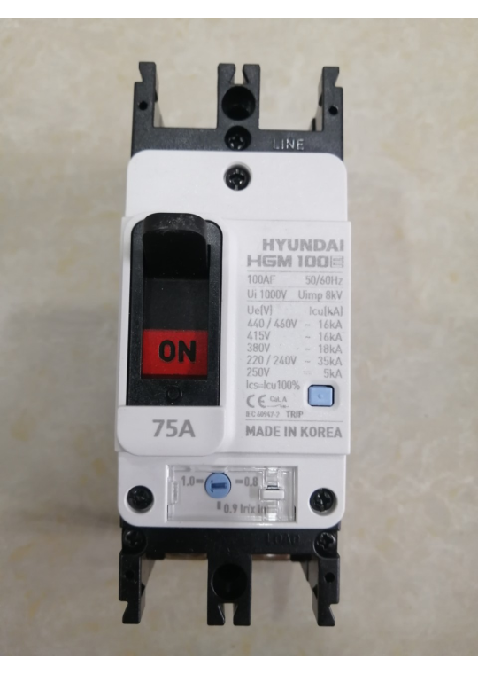 MCCB HYUNDAI 2P 75A 35kA ( HGM100E-F )