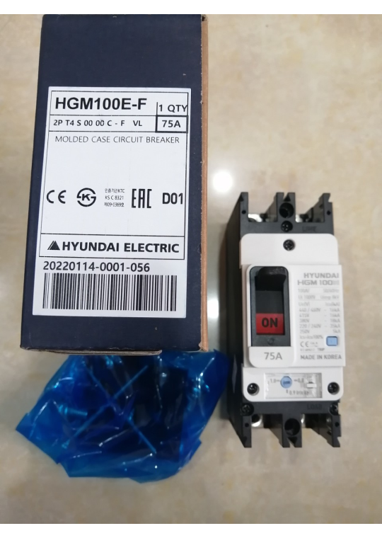 MCCB HYUNDAI 2P 75A 35kA ( HGM100E-F )