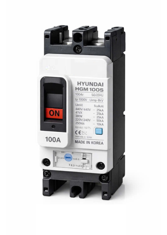 MCCB HYUNDAI 2P 80A 50kA ( HGM100S-F )