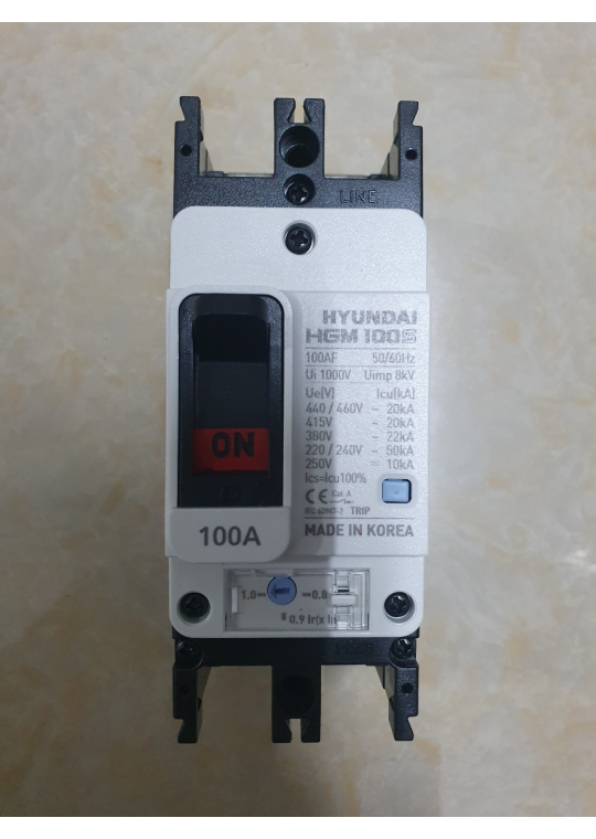 MCCB HYUNDAI 2P 100A 50kA ( HGM100S-F )