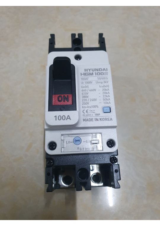 MCCB HYUNDAI 2P 100A 50kA ( HGM100S-F )
