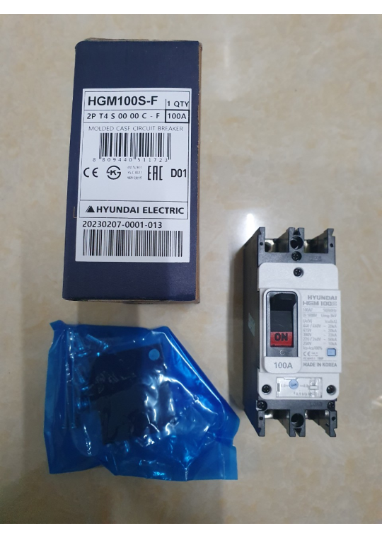 MCCB HYUNDAI 2P 100A 50kA ( HGM100S-F )