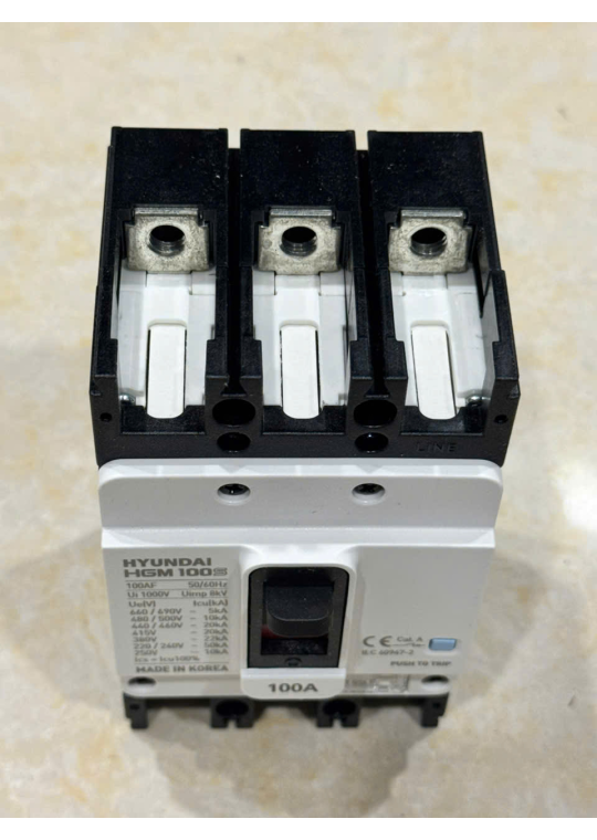 MCCB HYUNDAI 3P 100A 20kA ( HGM100S-F )