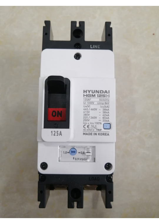 MCCB HYUNDAI 2P 125A 85kA ( HGM125H-F )