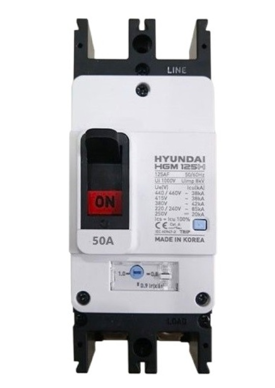 MCCB HYUNDAI 2P 63A 85kA ( HGM125H-F )