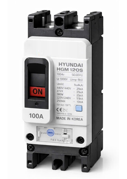 MCCB HYUNDAI 2P 100A 65kA ( HGM125S-F )