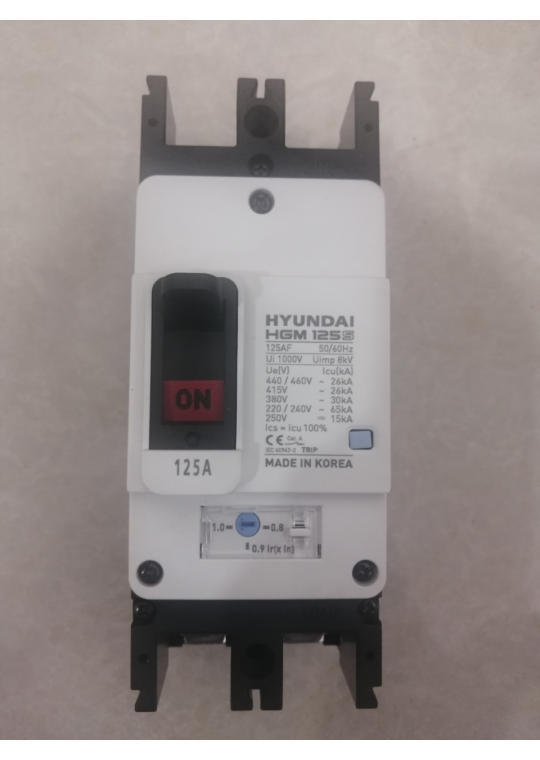 MCCB HYUNDAI 2P 125A 65kA ( HGM125S-F )