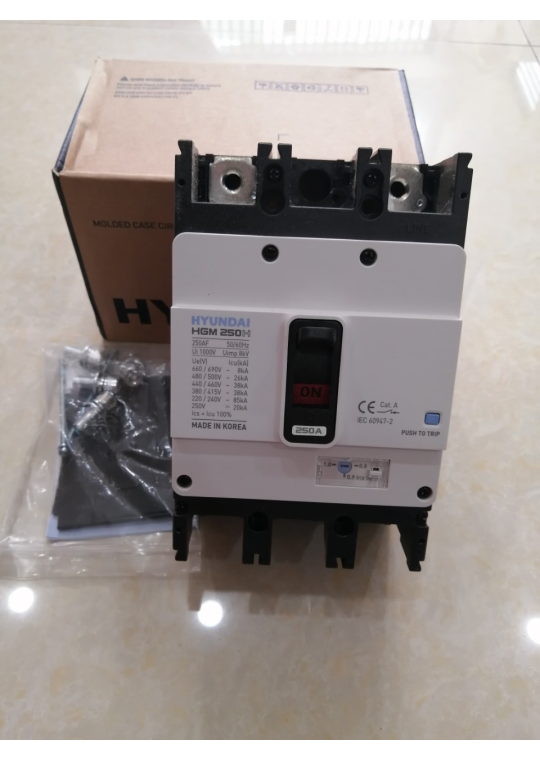 MCCB HYUNDAI 2P 250A 85kA ( HGM250H-F )