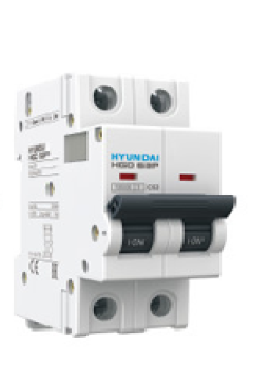 MCB HYUNDAI 2P 80A 10kA ( HGD125 )